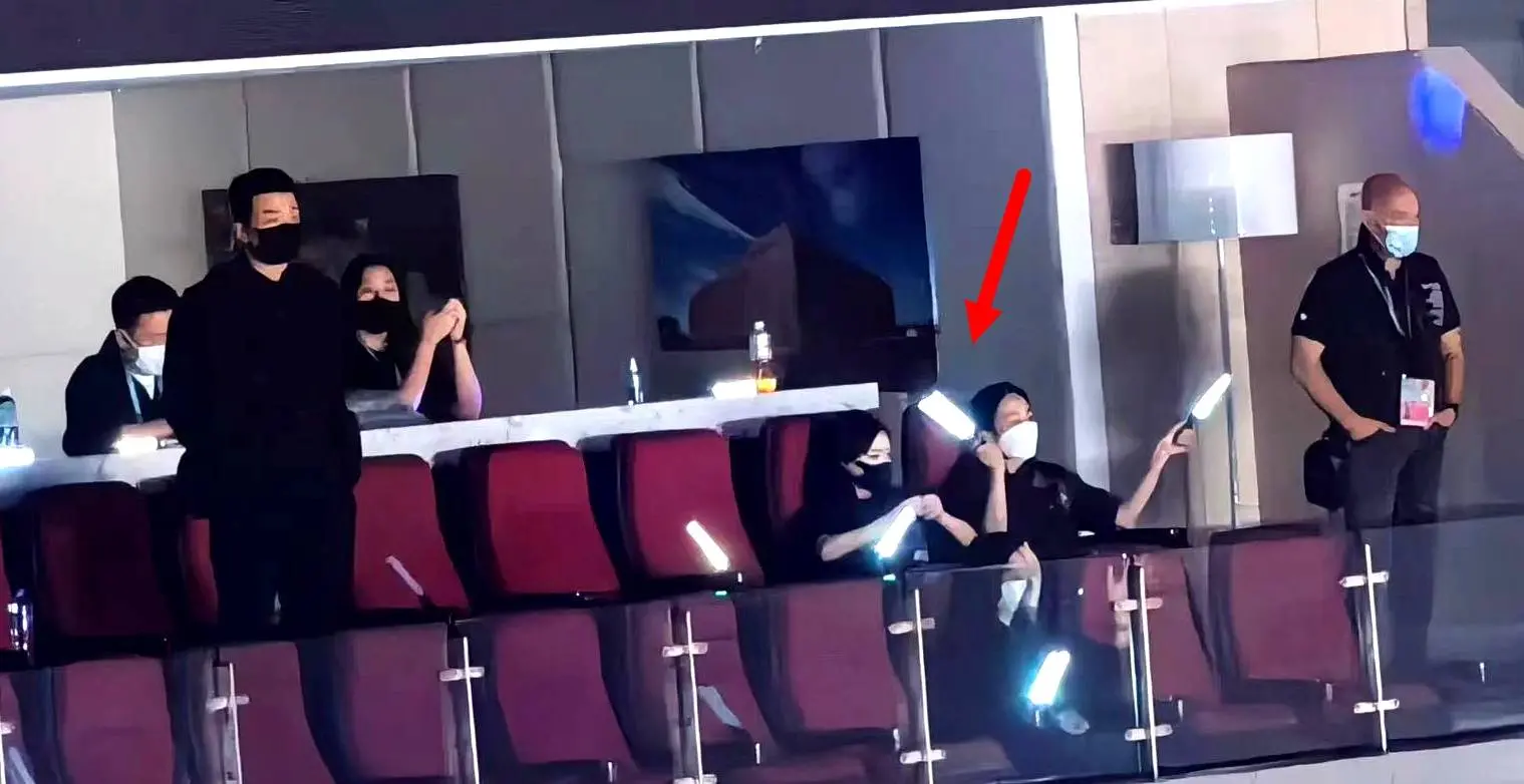 妻女坐包廂看劉德華演唱會，如廁有保鏢陪，劉向蕙高聲向爸爸表白