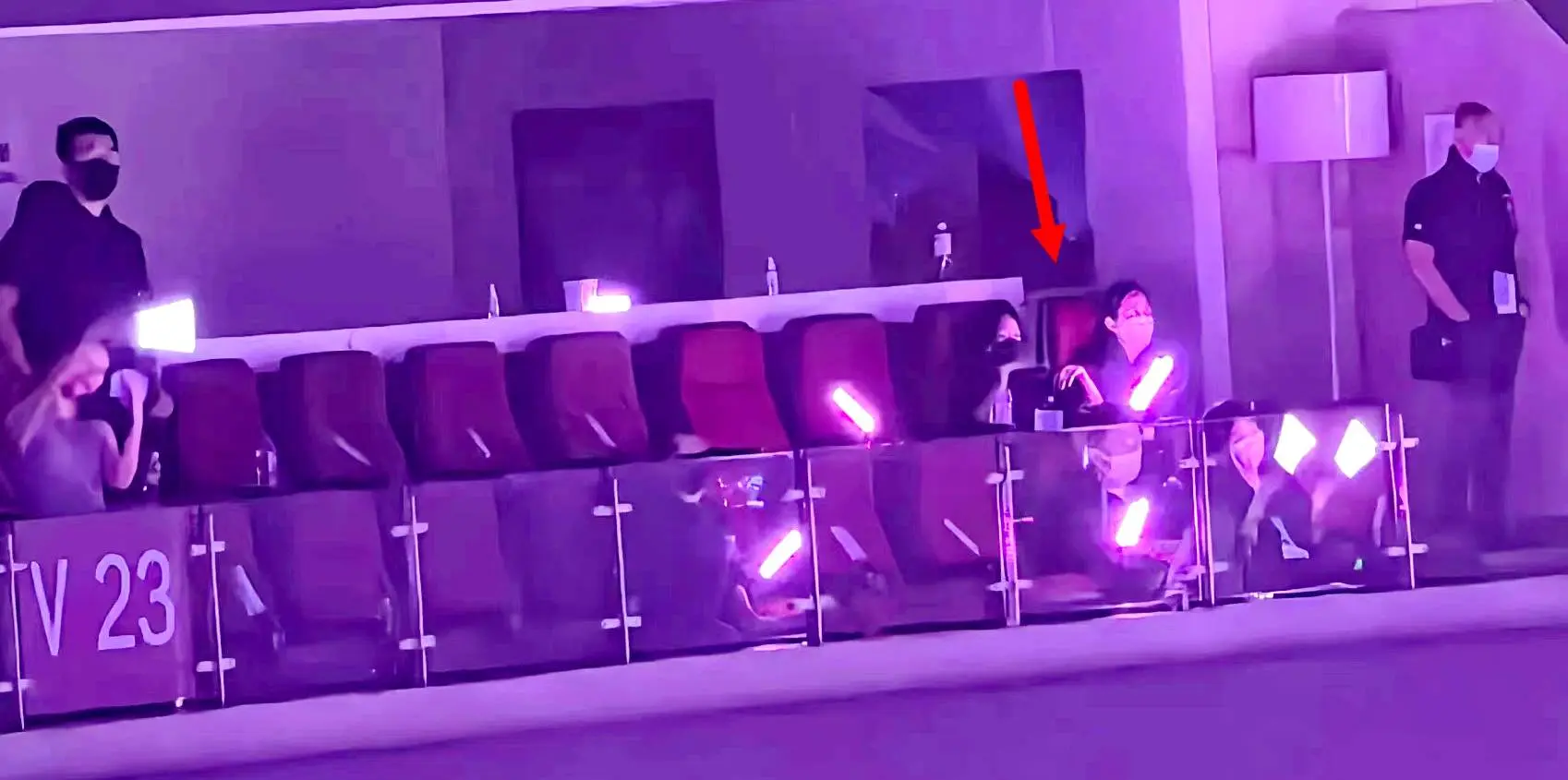 妻女坐包廂看劉德華演唱會，如廁有保鏢陪，劉向蕙高聲向爸爸表白